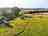 Cadora Woods Glamping: Drone shot of the glamping field