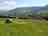 Cwmffrwd Farm Campsite: Pitches facing south-west for lots of sun! (photo added by manager on 09/06/2023)