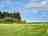 The Nook Campsite: Pitches backed by trees (photo added by manager on 17/07/2024)
