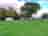 Coxwood Farm: Caravans on the pitches