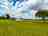 Twelve Acres Dorset: Visitor image of the pitches