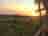 Neddy Green: Sunset over the fields
