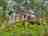 Thorney Mire Woodland Retreat: Shepherds hut exterior 