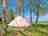 Marshwood  Copse: View of bell tent