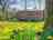 The Artisan Bakehouse: The hut in spring