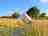 The Meadow: Nestle within nature 