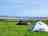 Martleaves Farm Campsite: Tent pitches on the grass