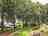 Reedham Ferry Touring and Camping Park: Grass pitches