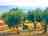 Camping Rodigliano: Tent among the trees