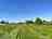 Wild Meadow Glamping