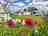 Parkland Caravan and Camping Site 