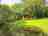 Melin Mabes: Treehouse