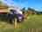 Pine Cones Caravan and Camping: Visitor image of the dog friendly pitches 