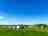 Grange Farm Caravan Park: Pitches