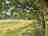 Willow Acres Campsite: View from the rope swing.
