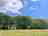 The Paddocks: Greenery all around