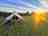Penllwyn Isaf Farm Campsite