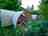 Camping Tunnel International
