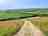 Crowborough Farm: Path to extra pitches (photo added by manager on 22/07/2024)