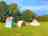 Tin and Canvas Glamping: Bell tent with dining and cooking gazebo and your own bespoke toilet hut
