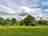 Moors Covert Farm Camping