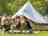 Broadland Sun Association Naturist Campsite: Relaxing having a drink