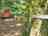 Travellers Rest: Visitor image of Caiomhe Camping pod 