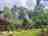 Camping Amazilia: Site views 