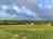 Meadow Farm Camping: Hardstanding pitch with electric