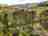 Minton Hill Pods: Pods with a view
