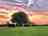 At The Cowshed: Visitor image of the lovely sunset