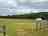 Oulton Country Park Touring Site (zdjęcie dodane przez administratora w dniu 06-07-2025)