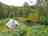 Beech Estate Campsite: Faraway tent pitch (photo added by manager on 11/23/2022)