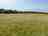 Rusty Meadow: Hay meadow surrounded by trees (photo added by manager on 04/06/2025)