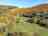 Tunnel Glamping: The site is set in 15 private acres