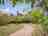 Camping Le Balze: Pick a spot in the sun or shade
