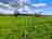 Wick Dairy Farm: New tree plantings divide up the site (photo added by manager on 02/13/2024)