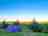 Wassell Grove Camping and Caravanning: Pitches with views
