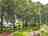 Reedham Ferry Touring and Camping Park: Grass pitches (photo added by manager on 05/08/2025)
