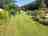Reedy Brook Meadow Campsite: Site view