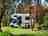 Padthaway Caravan Park: Pitches
