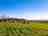 Aylesmore Farm Campsite: Visitor image of pitches on site