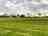 Ryelands Holiday Park: Bell tent