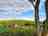 Lynmouth Holiday Retreat: 1