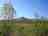 Pillars of Hercules Organic Farm: Falkland Hill from the campervan site 