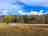 Allicins Ranch