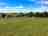 The Boe Rigg: Beautiful view 