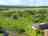 Wheatland Farm 
