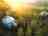 The Secret Yurts: Oak and Rowan yurts 