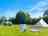 Elm Acre: Dog-friendly pitches